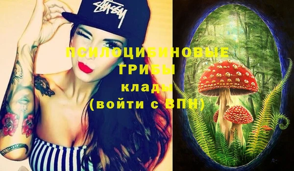 прущие крисы Белоозёрский