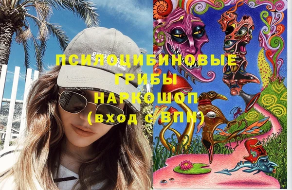 гидропоника Белокуриха
