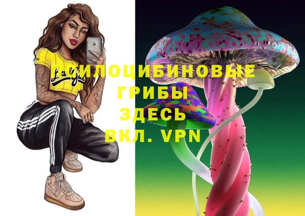гидропоника Белокуриха