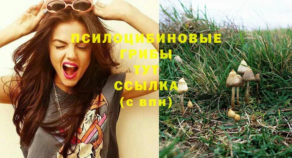 ПСИЛОЦИБИНОВЫЕ ГРИБЫ Беломорск