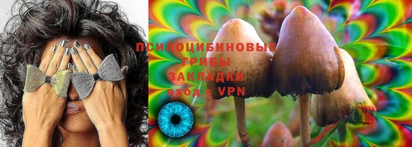 ПСИЛОЦИБИНОВЫЕ ГРИБЫ Беломорск