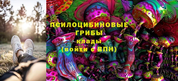 ПСИЛОЦИБИНОВЫЕ ГРИБЫ Беломорск