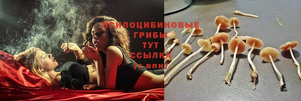 ПСИЛОЦИБИНОВЫЕ ГРИБЫ Беломорск