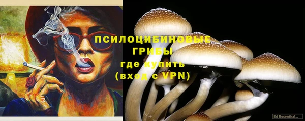 гидропоника Белокуриха